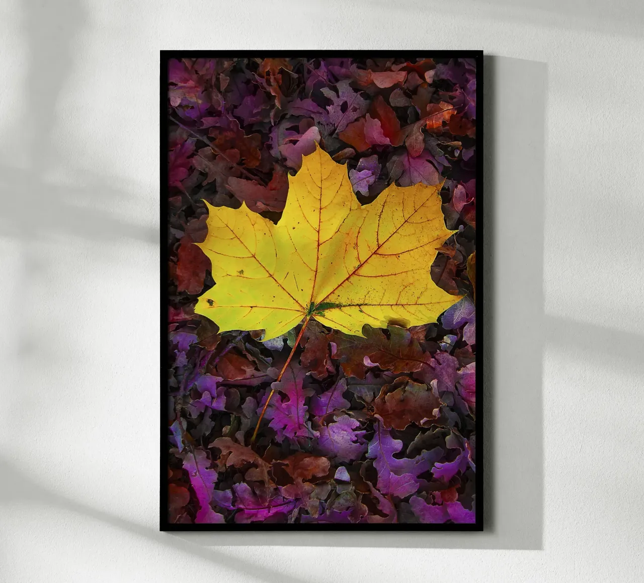 Feuille jaune sur feuillage violet - Nature Photo Print poster de jay