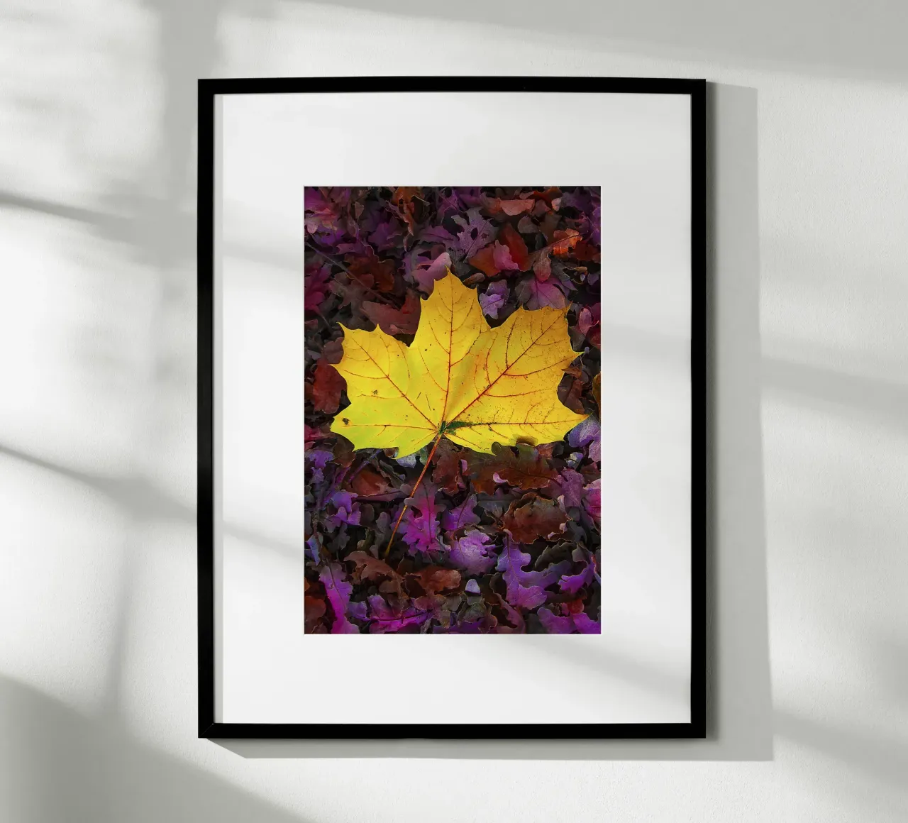 Feuille jaune sur feuillage violet - Nature Photo Print poster de jay