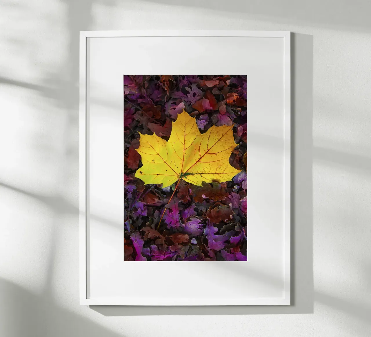 Feuille jaune sur feuillage violet - Nature Photo Print poster de jay