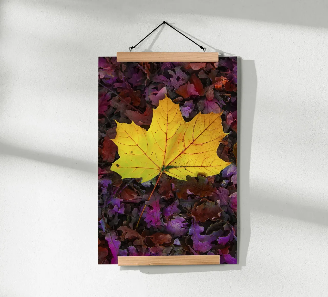 Feuille jaune sur feuillage violet - Nature Photo Print poster de jay