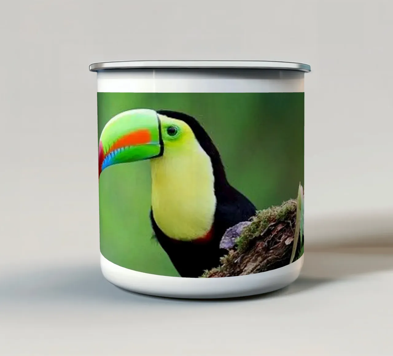Ramphastos sulfuratus tazza in smalto da Nature's Palette