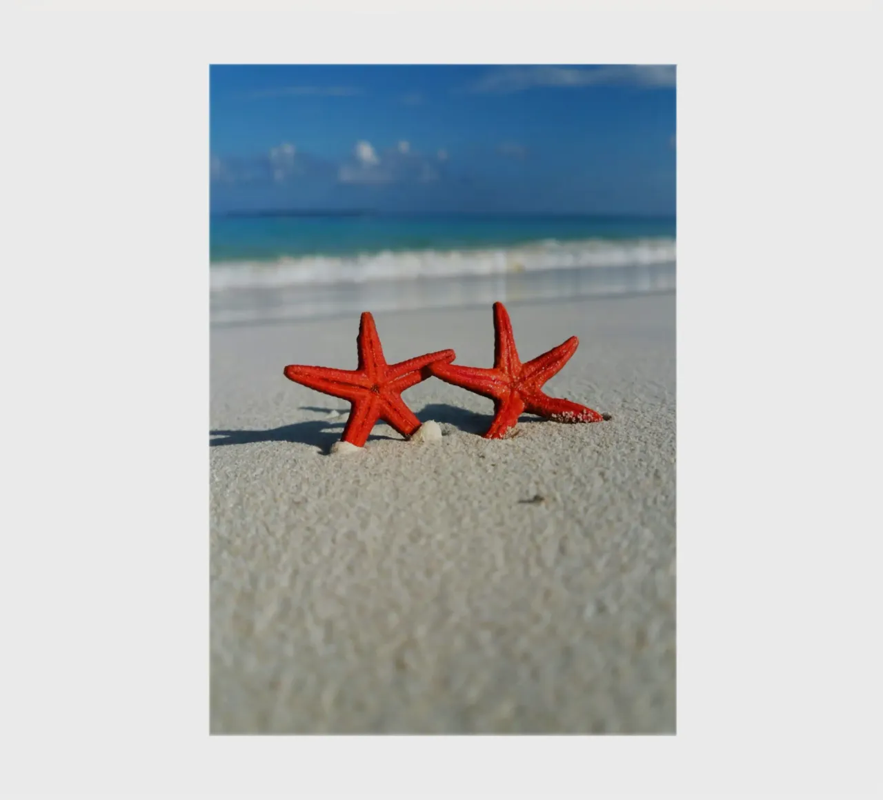 Parallel Red Stars notebook by Nature's Palette