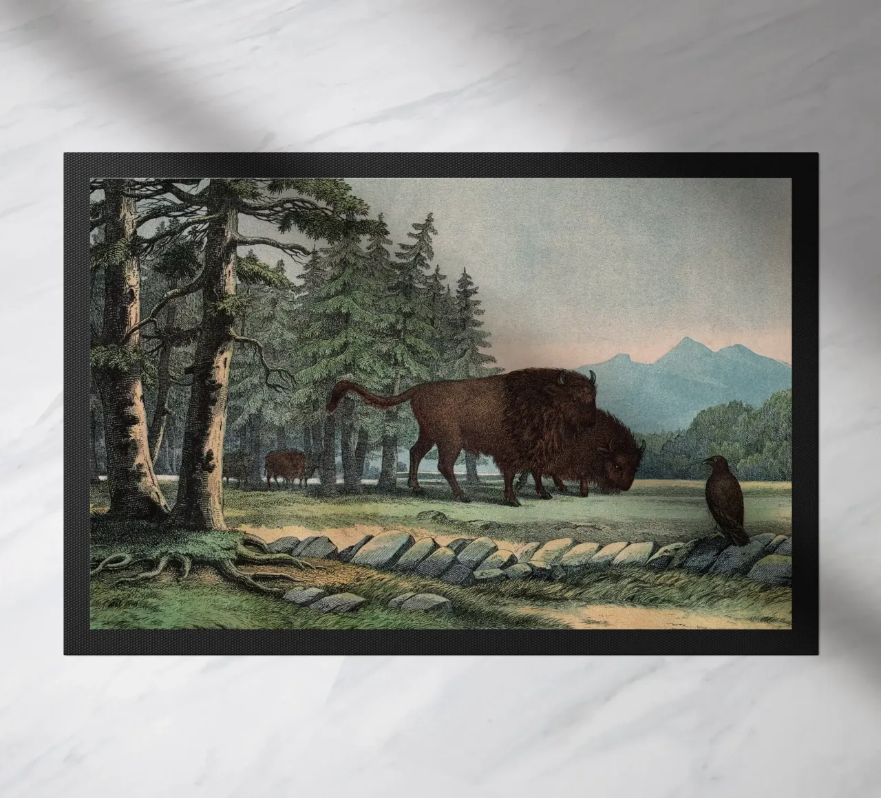 Vintage Kolb 10 Tafel 3 Auerochse zerbino da Vintage Print Collection