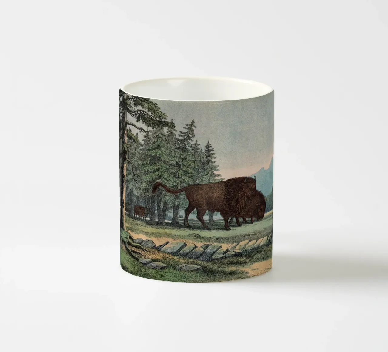 Vintage Kolb 10 Tafel 3 Auerochse tazza in ceramica da Vintage Print Collection