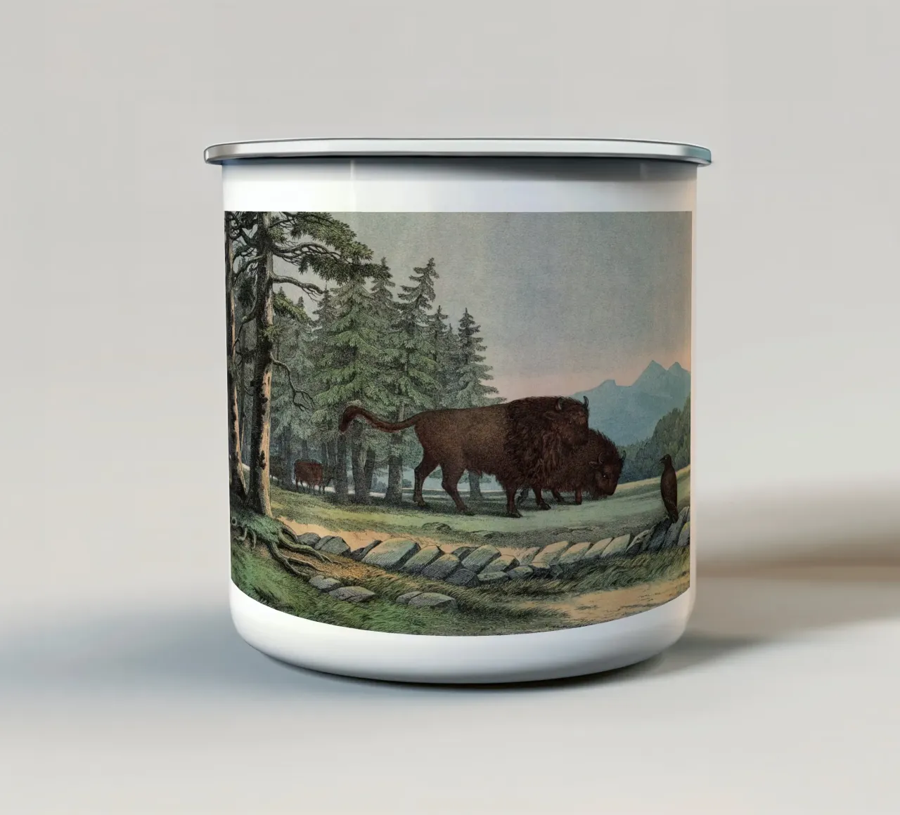 Vintage Kolb 10 Tafel 3 Auerochse tazza in smalto da Vintage Print Collection