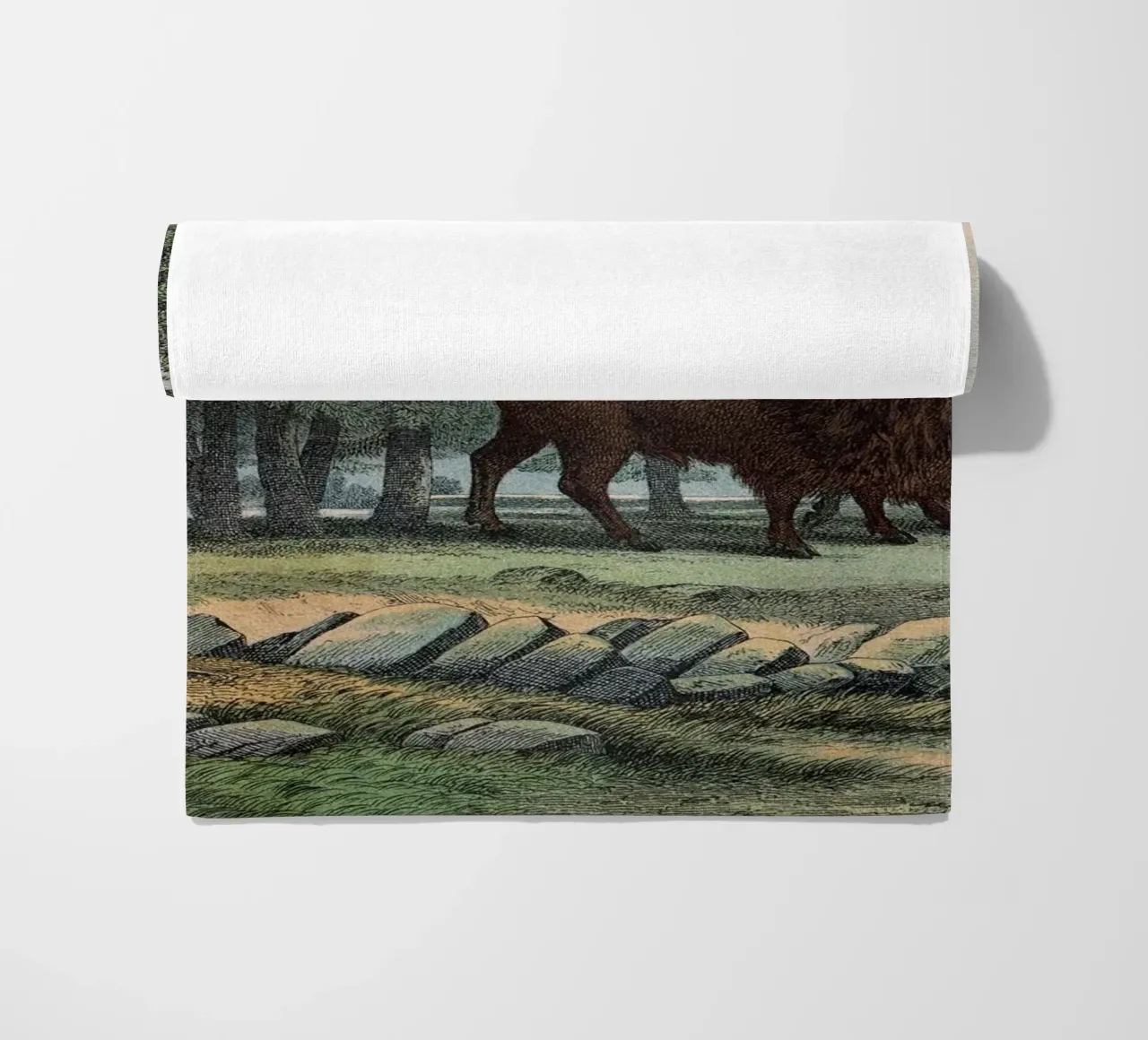 Vintage Kolb 10 Tafel 3 Auerochse telo mare da Vintage Print Collection