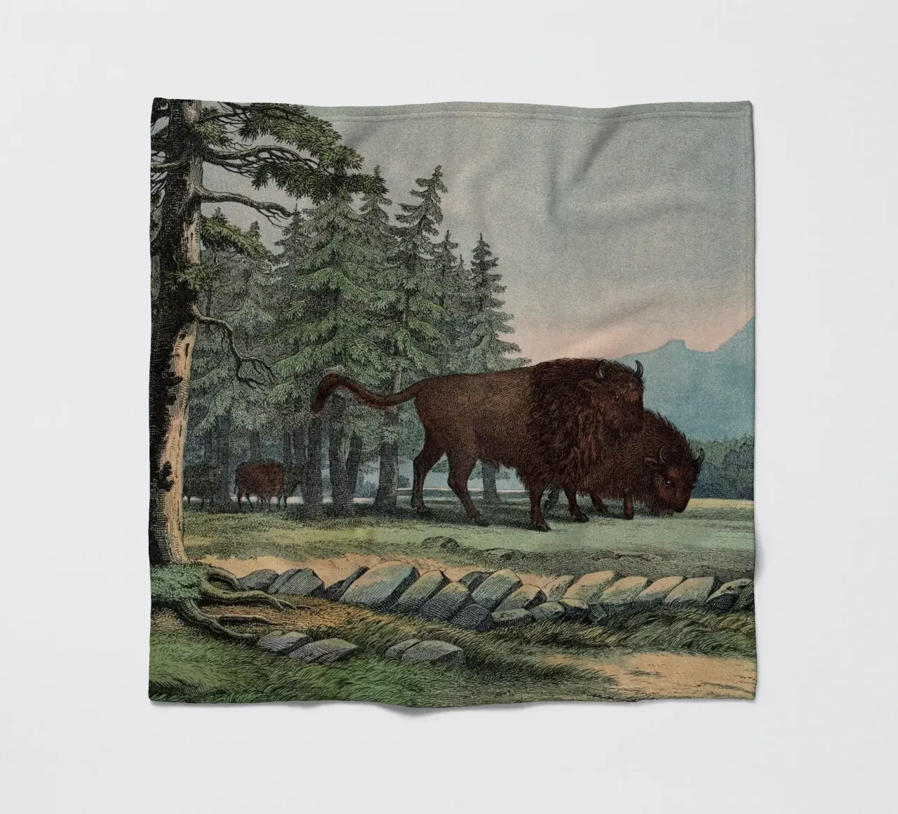 Vintage Kolb 10 Tafel 3 Auerochse coperta in pile da Vintage Print Collection