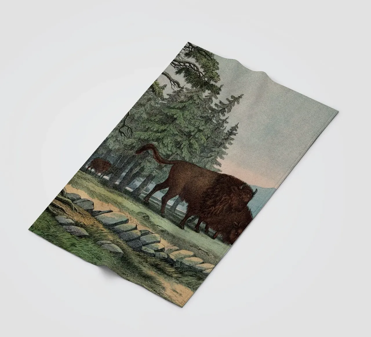 Vintage Kolb 10 Tafel 3 Auerochse coperta in pile da Vintage Print Collection