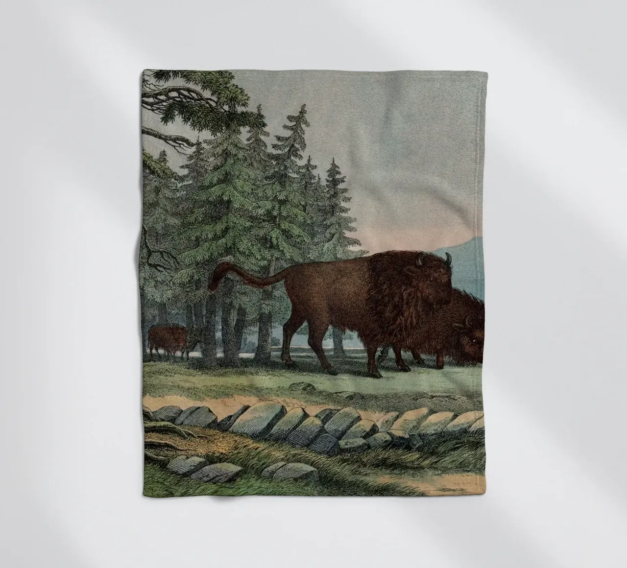 Vintage Kolb 10 Tafel 3 Auerochse coperta in pile da Vintage Print Collection