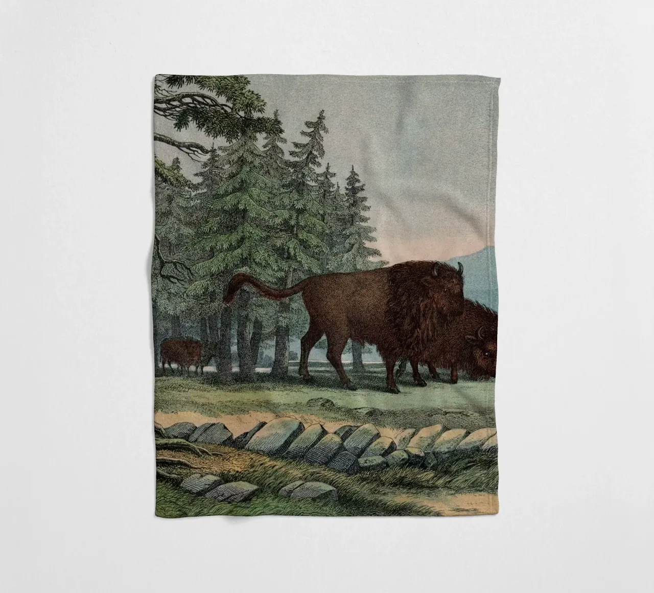 Vintage Kolb 10 Tafel 3 Auerochse coperta in pile da Vintage Print Collection