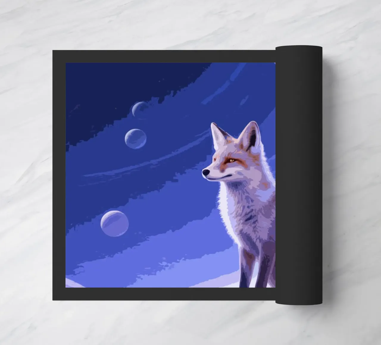 fox in the space zerbino da knowledge