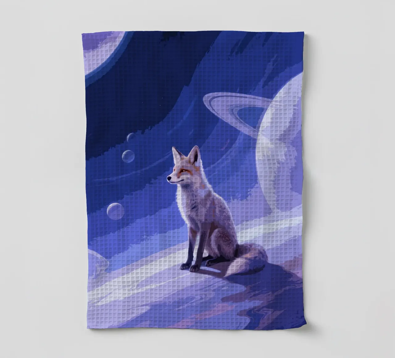 fox in the space canovaccio da cucina da knowledge