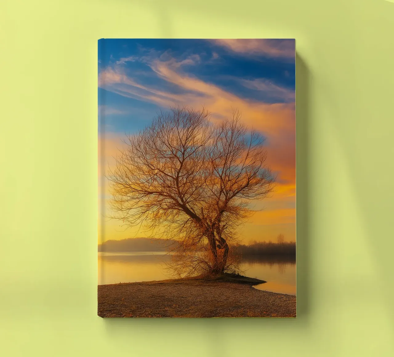 dry trees on the edge of the lake nature panorama notebook by chinerei