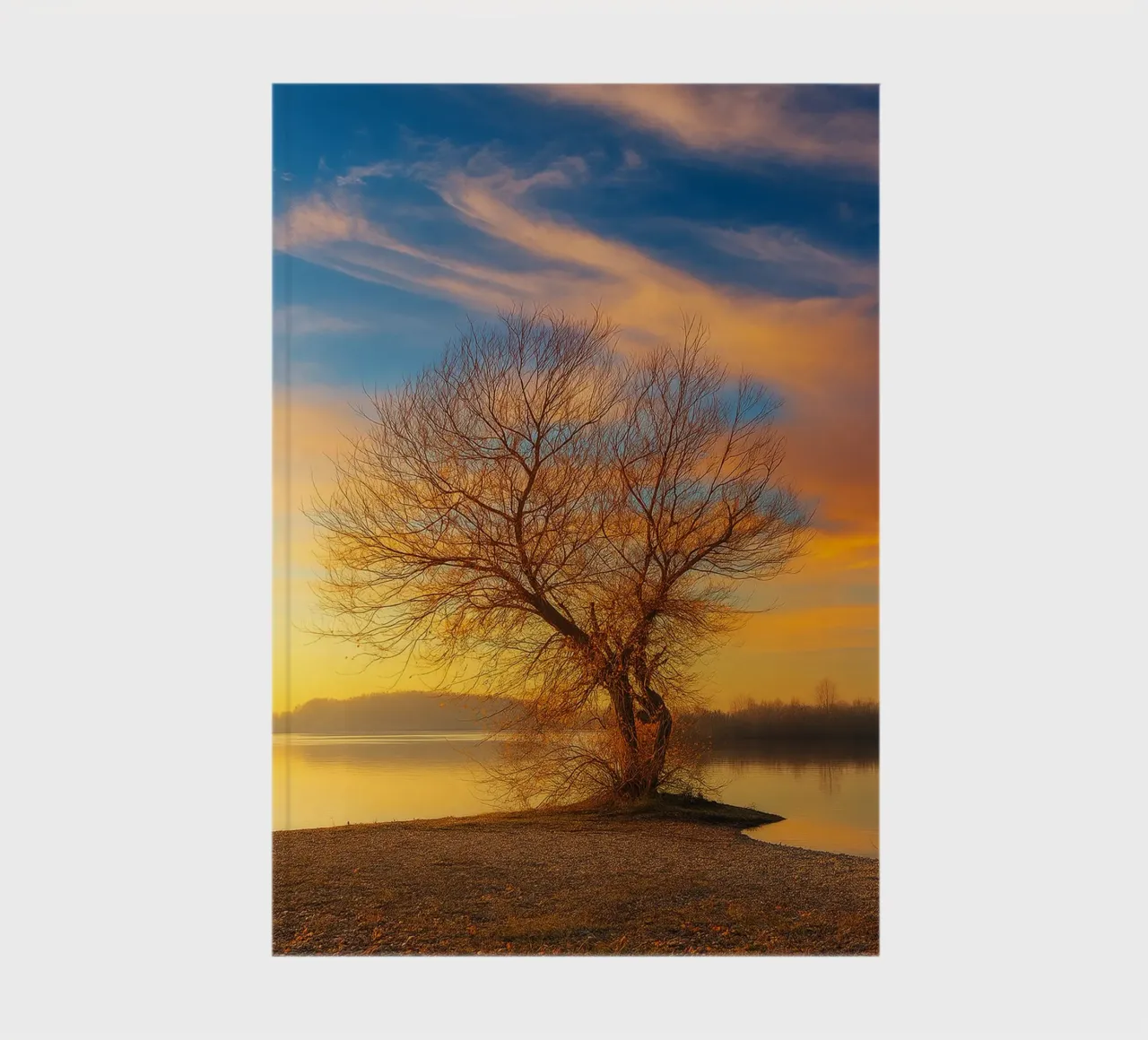dry trees on the edge of the lake nature panorama notebook by chinerei