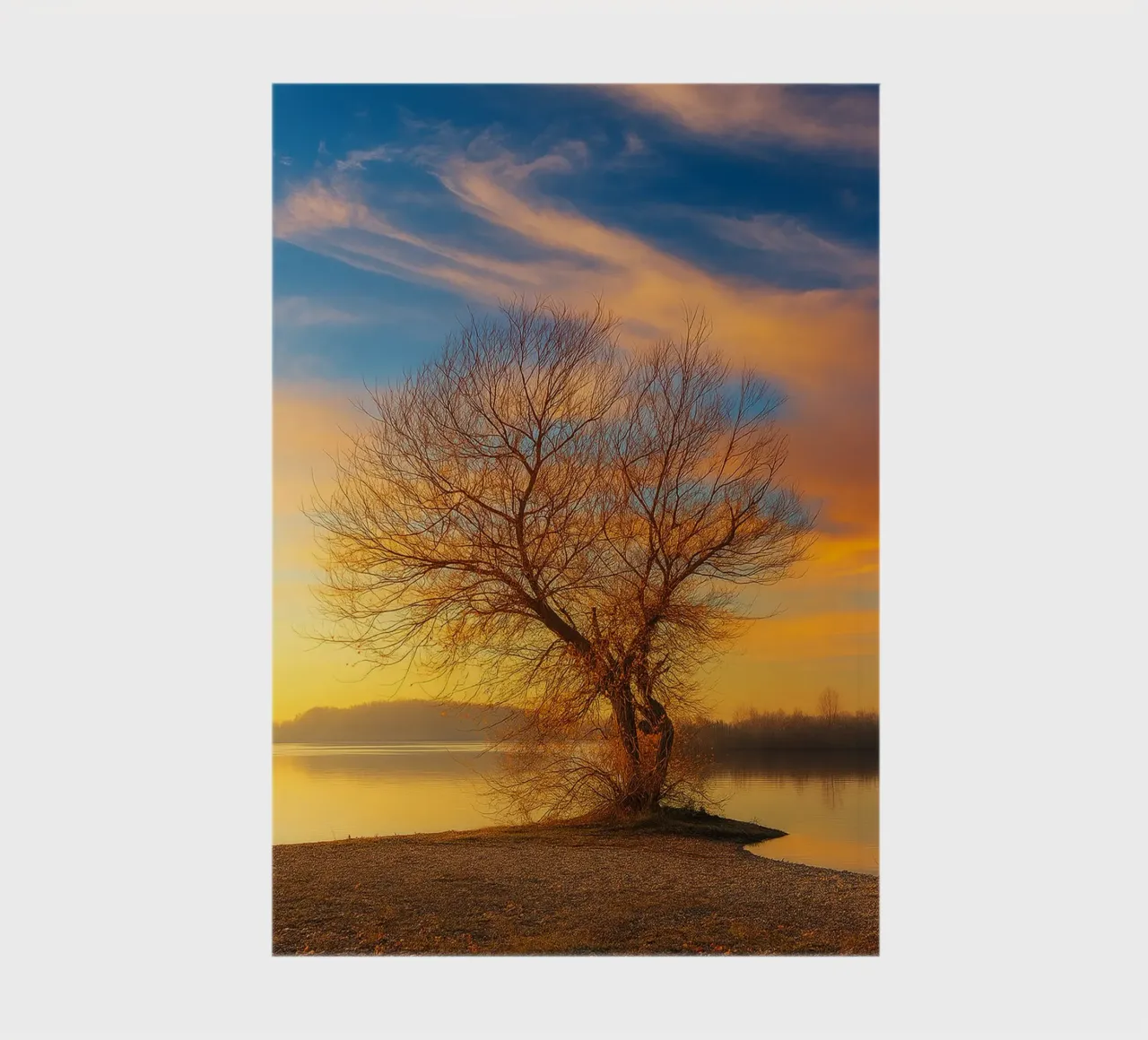 dry trees on the edge of the lake nature panorama notebook by chinerei