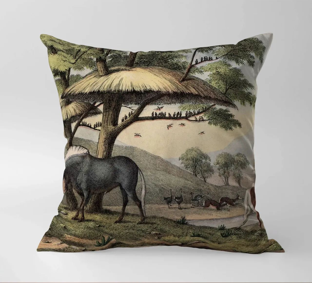Vintage Kolb 10 Tafel 38 Gnu cuscino da Vintage Print Collection