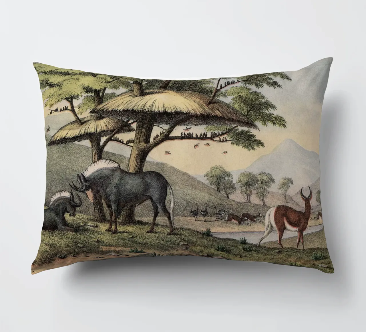 Vintage Kolb 10 Tafel 38 Gnu cuscino da Vintage Print Collection