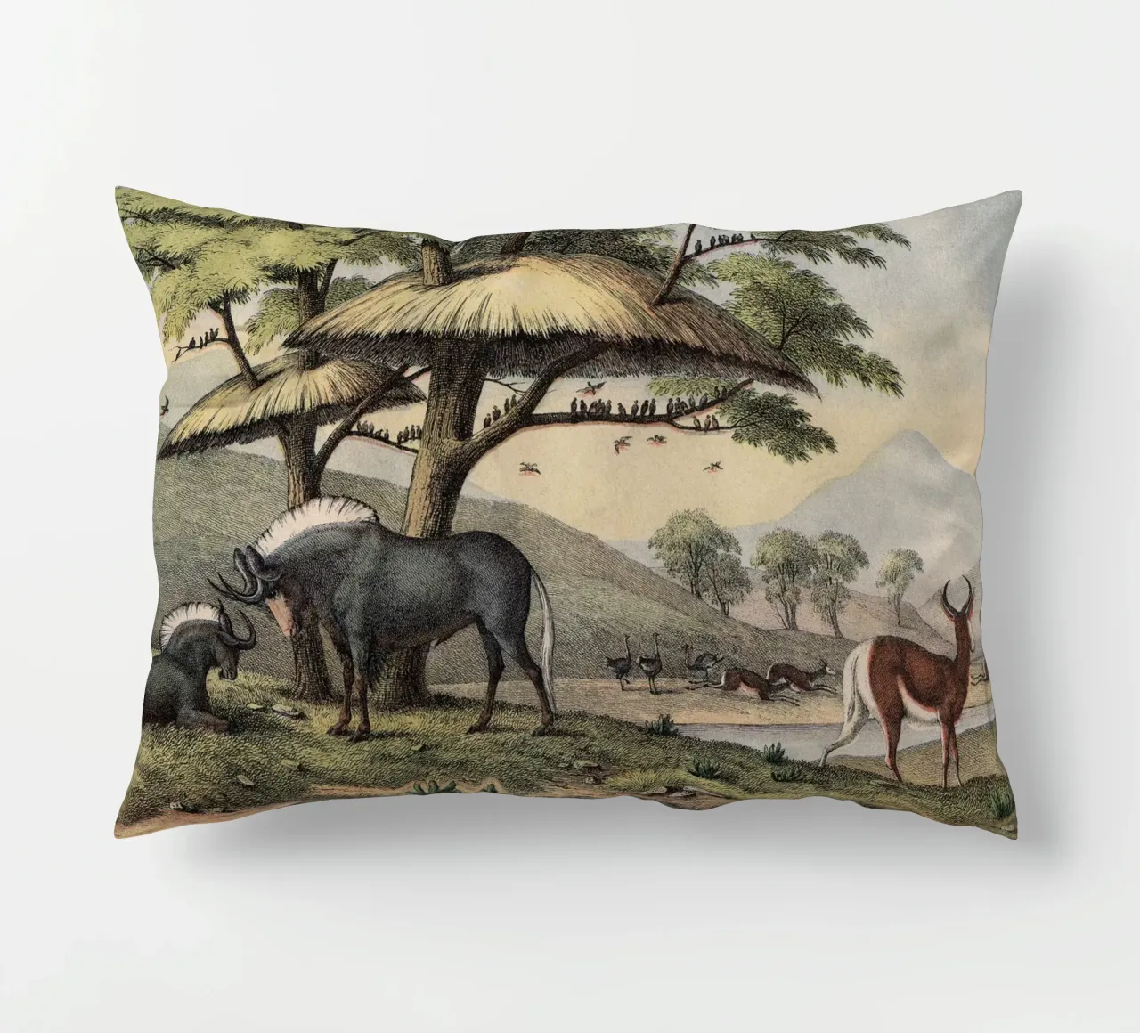 Vintage Kolb 10 Tafel 38 Gnu cuscino da Vintage Print Collection