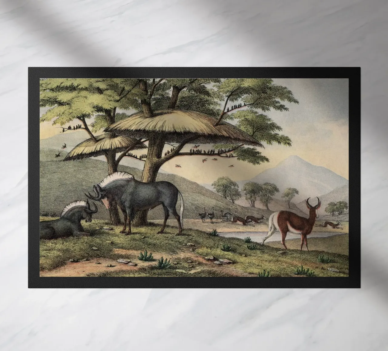 Vintage Kolb 10 Tafel 38 Gnu zerbino da Vintage Print Collection