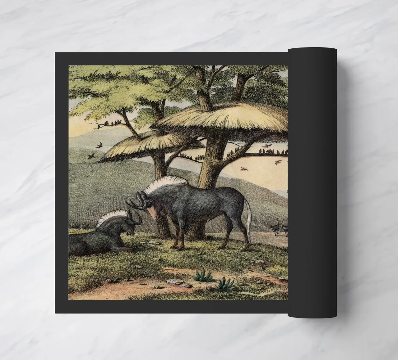 Vintage Kolb 10 Tafel 38 Gnu zerbino da Vintage Print Collection