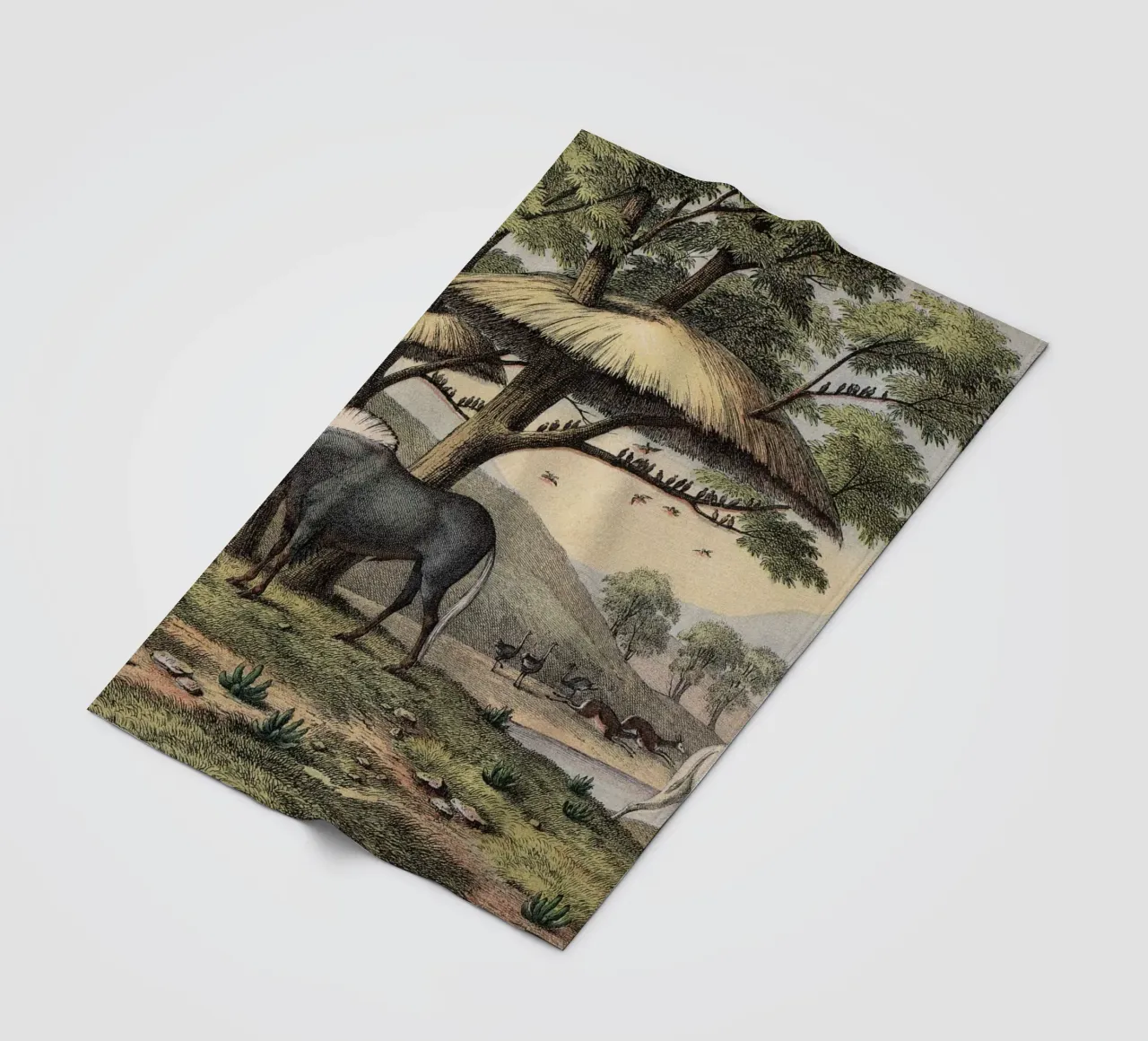 Vintage Kolb 10 Tafel 38 Gnu coperta in pile da Vintage Print Collection