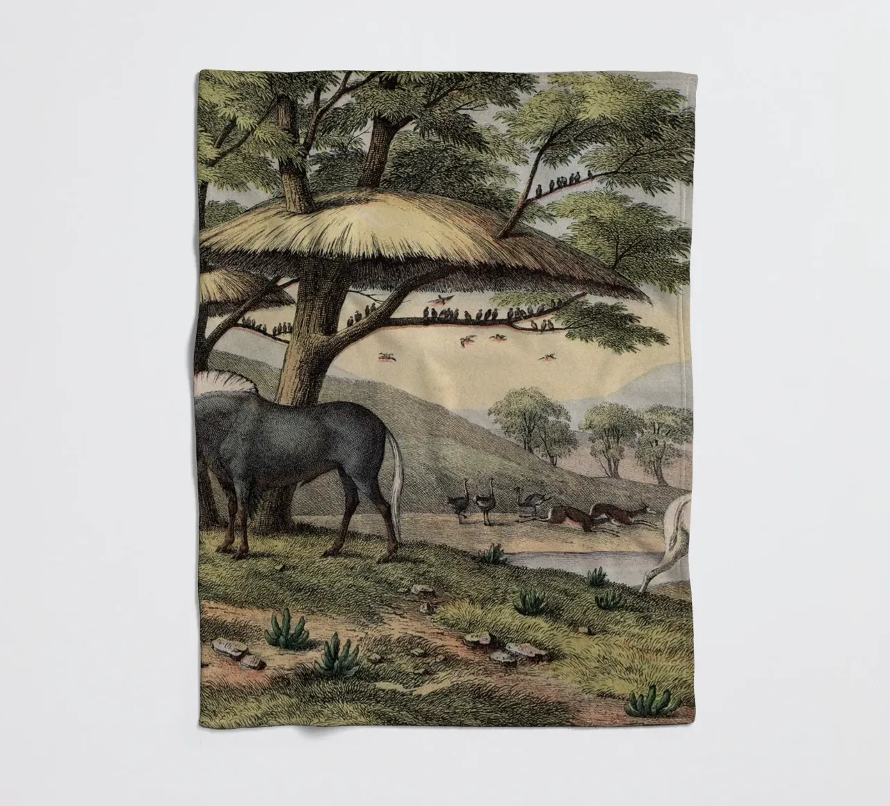 Vintage Kolb 10 Tafel 38 Gnu coperta in pile da Vintage Print Collection