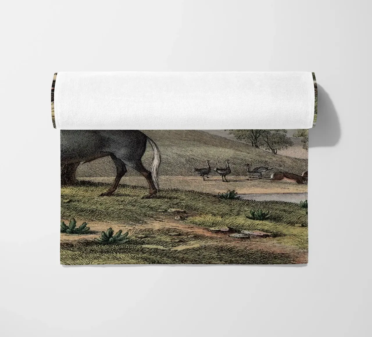 Vintage Kolb 10 Tafel 38 Gnu telo mare da Vintage Print Collection