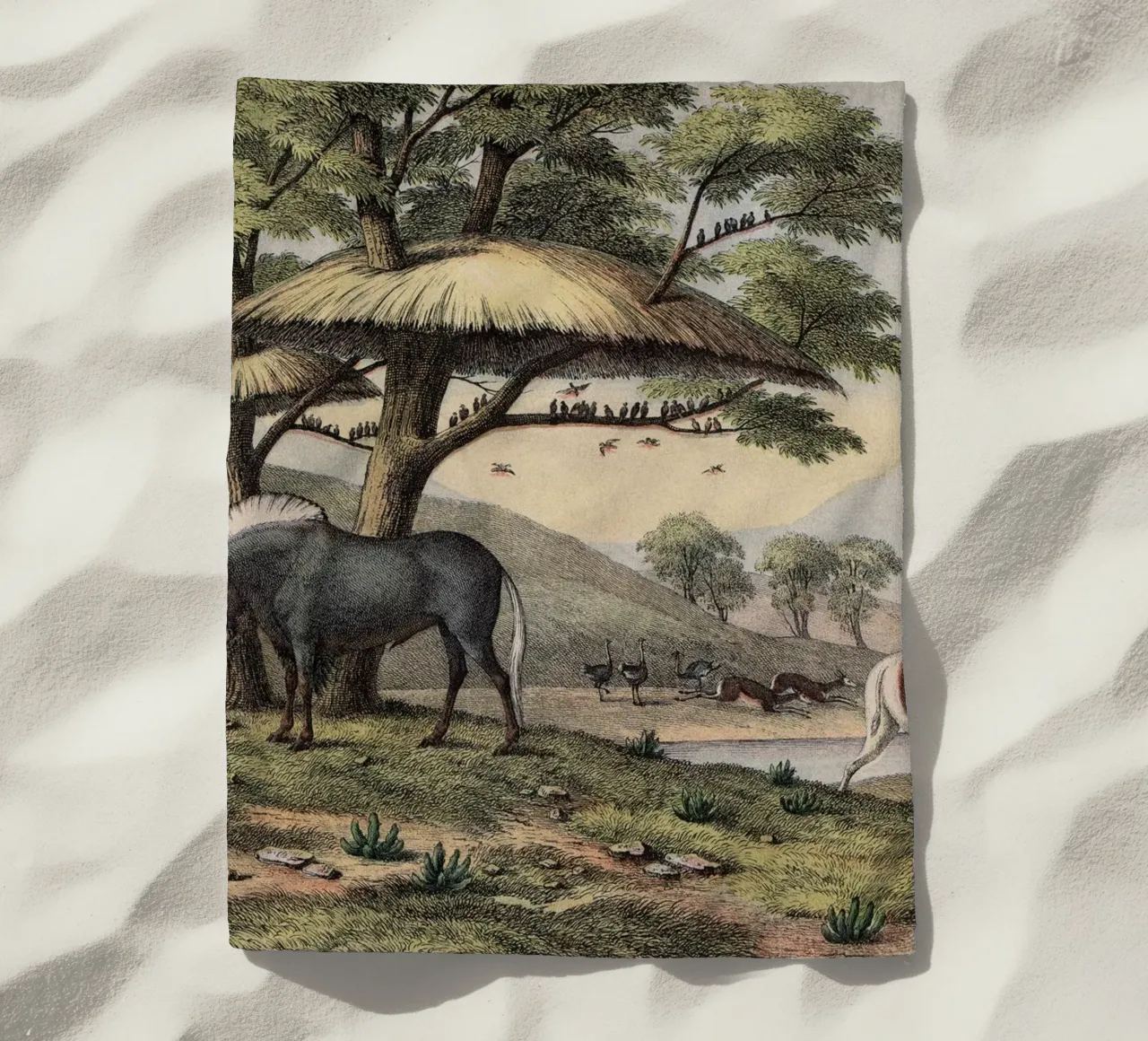 Vintage Kolb 10 Tafel 38 Gnu telo mare da Vintage Print Collection