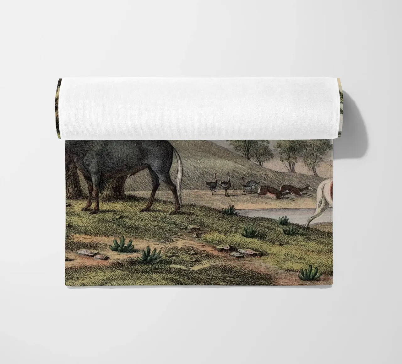 Vintage Kolb 10 Tafel 38 Gnu telo mare da Vintage Print Collection