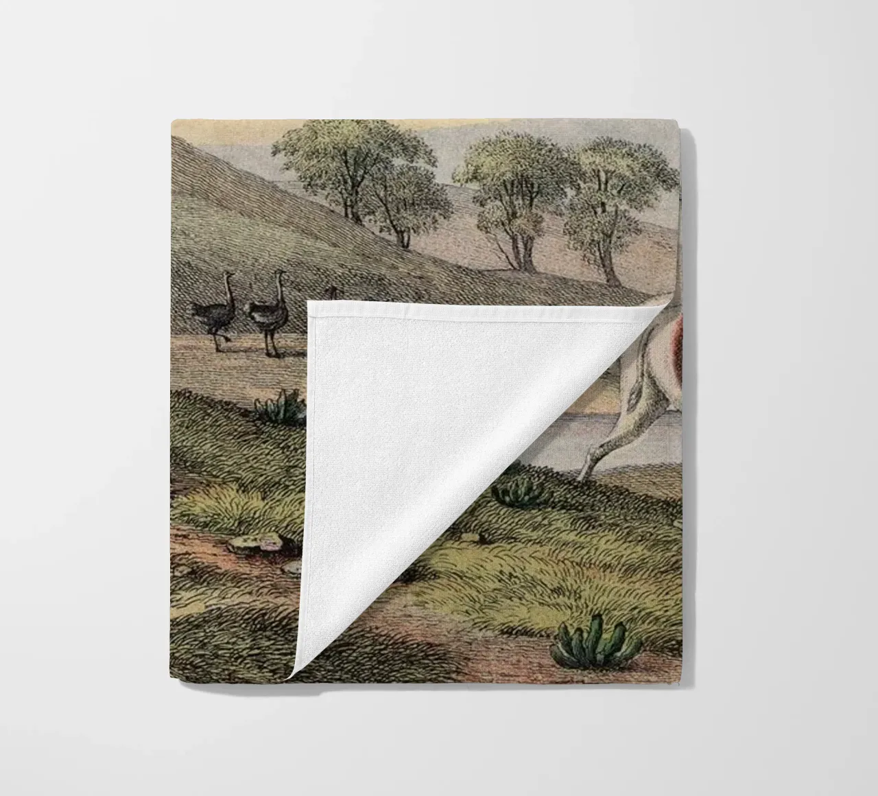 Vintage Kolb 10 Tafel 38 Gnu telo mare da Vintage Print Collection