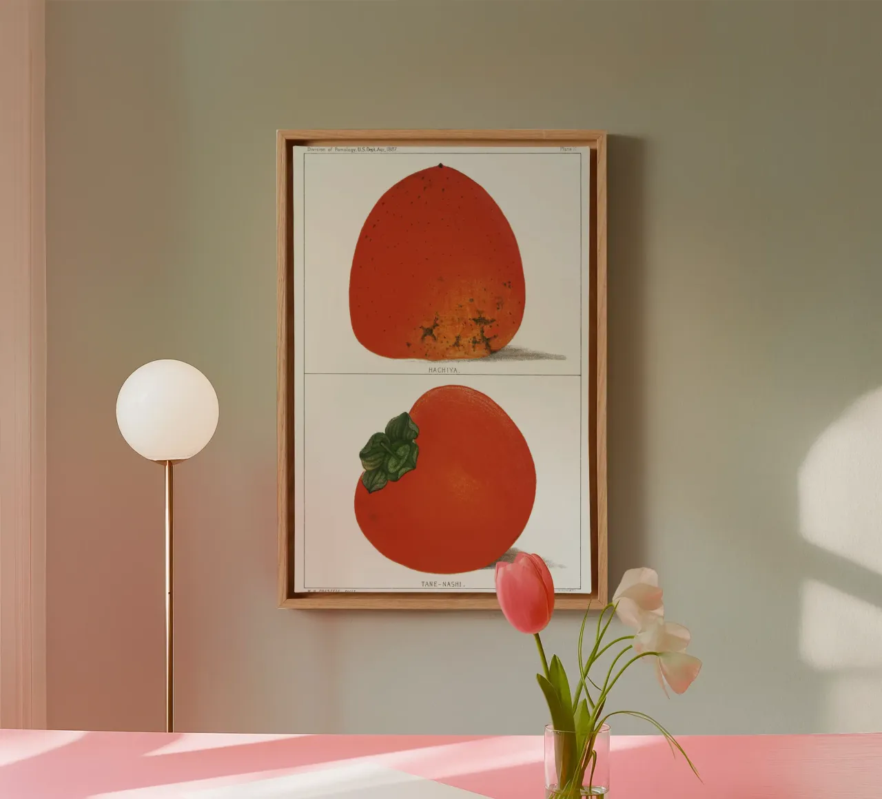 Illustrazione vintage di cachi freschi tela con Cornice a cassetta da Jolie Prints