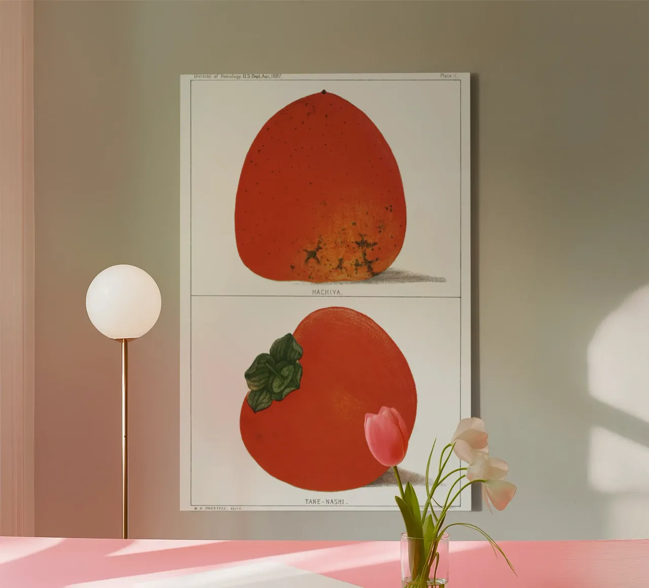 Illustrazione vintage di cachi freschi tela con Cornice a cassetta da Jolie Prints