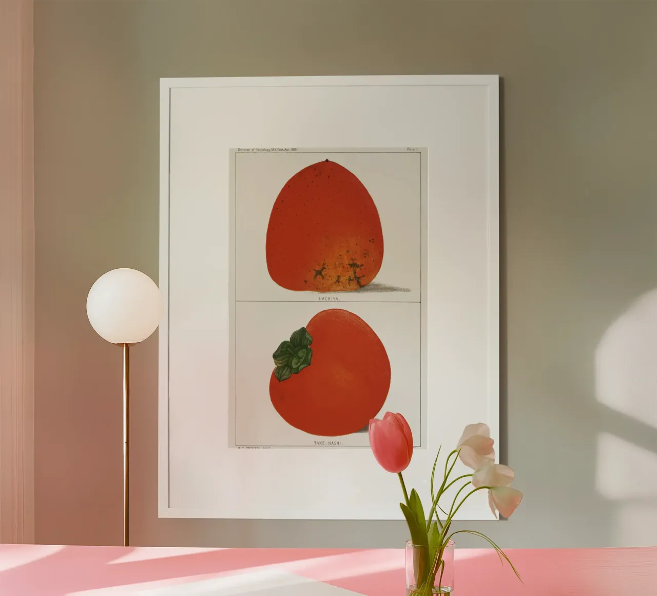 Illustrazione vintage di cachi freschi poster da Jolie Prints