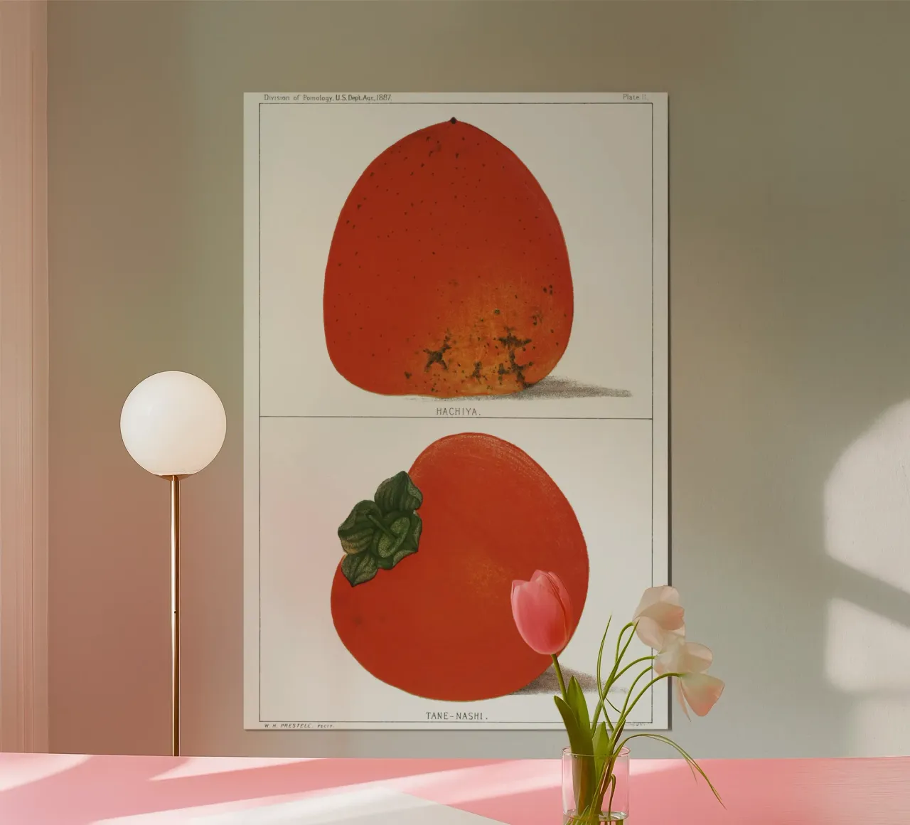 Illustrazione vintage di cachi freschi poster da Jolie Prints