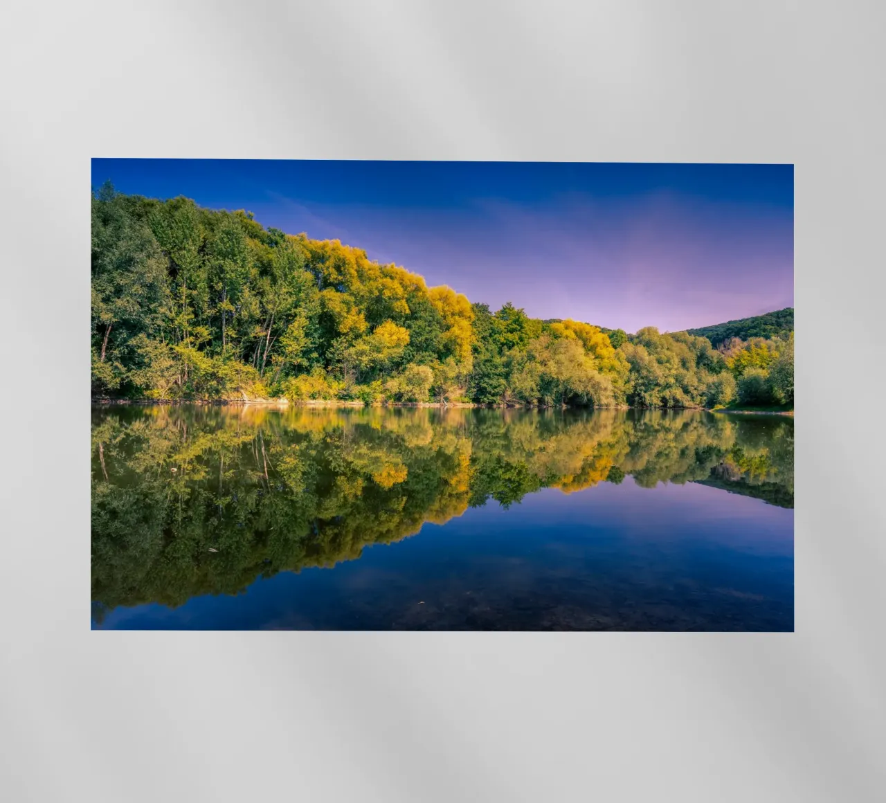 Riflesso di alberi in un piccolo stagno pellicola backlit da Marcus Beckert | Fotografie
