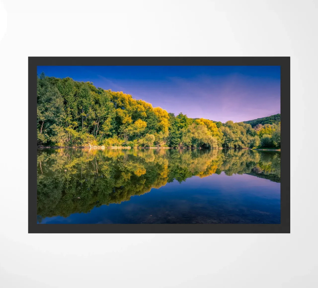 Riflesso di alberi in un piccolo stagno zerbino da Marcus Beckert | Fotografie