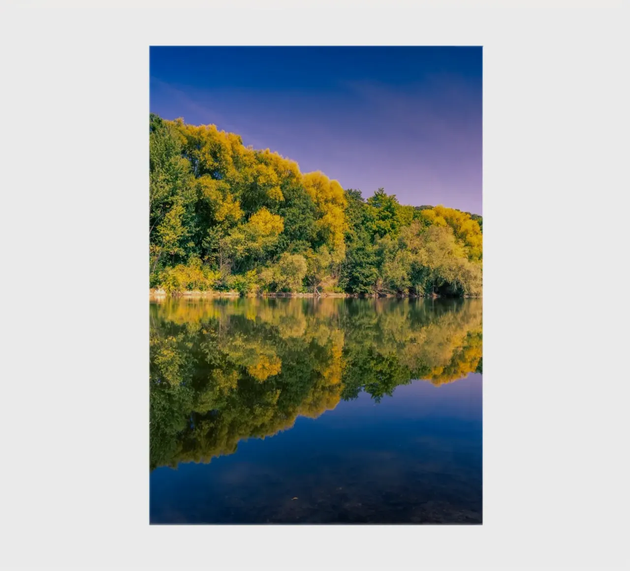 Reflection of trees in a small pond notebook by Marcus Beckert | Fotografie