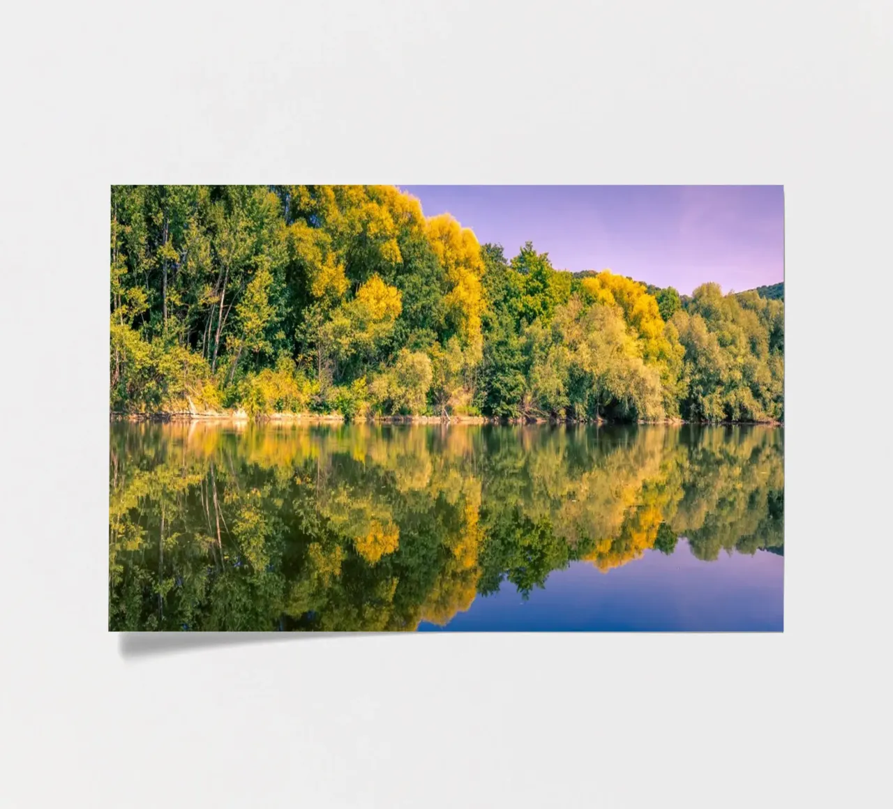 Riflesso di alberi in un piccolo stagno foglio adesivo da Marcus Beckert | Fotografie
