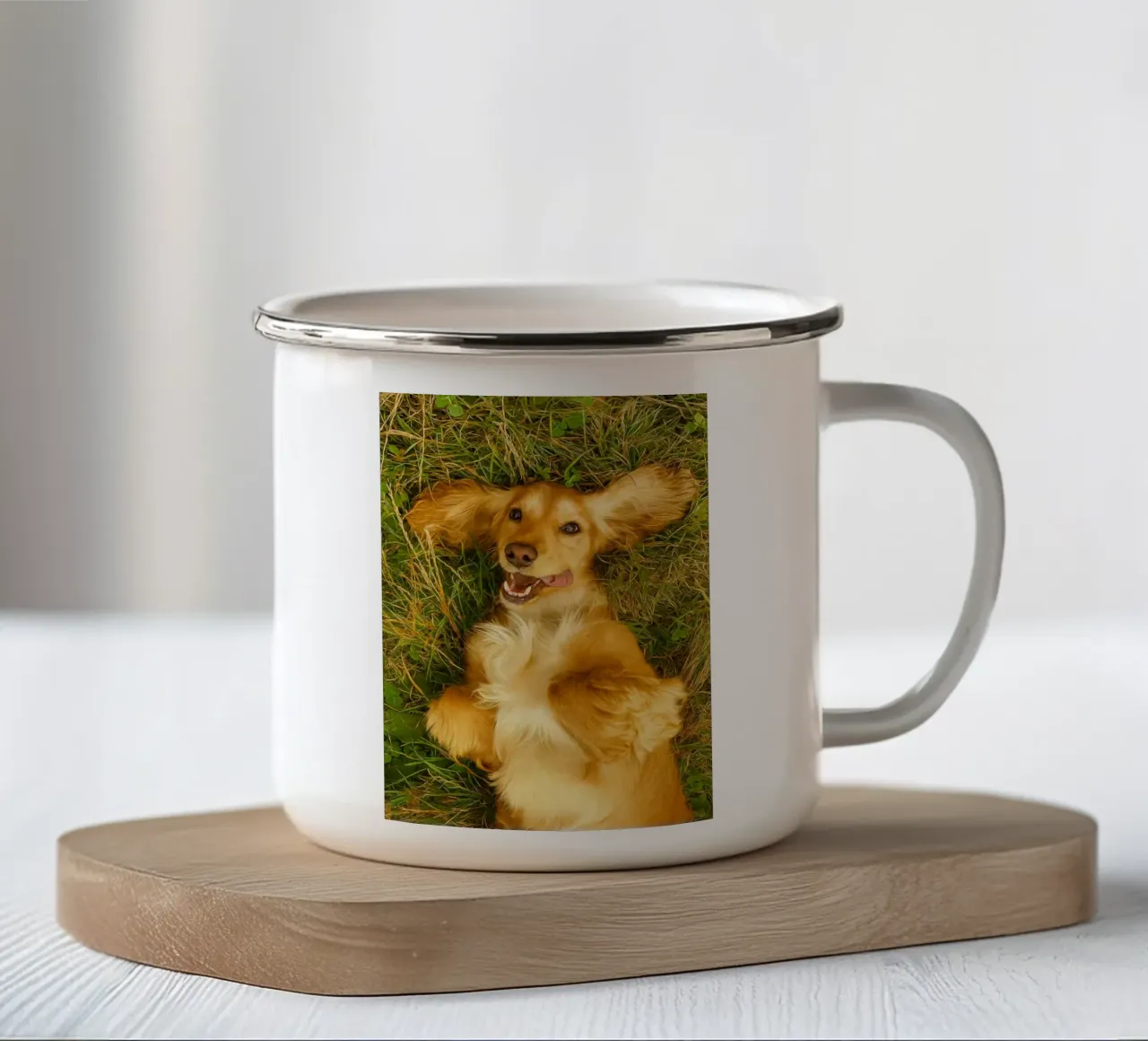 il cane si rotolò sull'erba secca tazza in smalto da chinerei