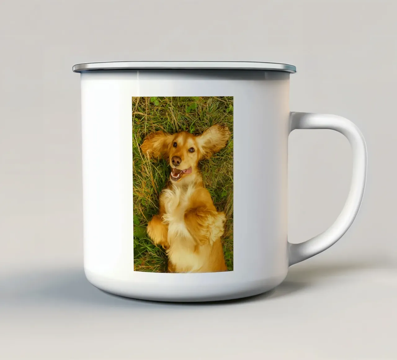 il cane si rotolò sull'erba secca tazza in smalto da chinerei