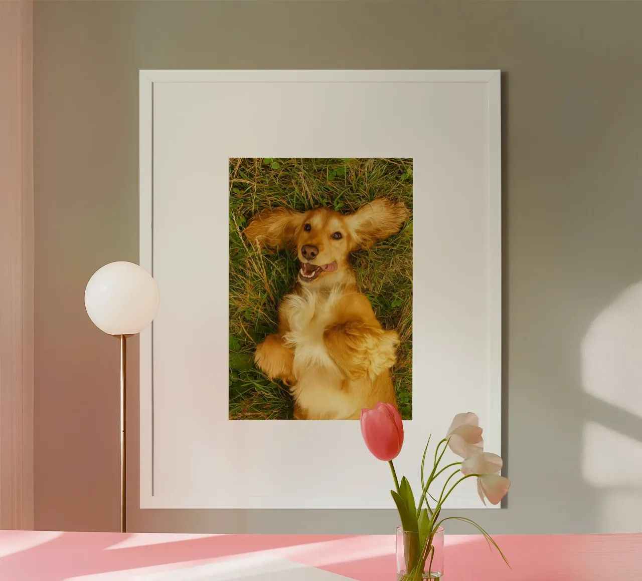 il cane si rotolò sull'erba secca poster con telaio in plastica da chinerei