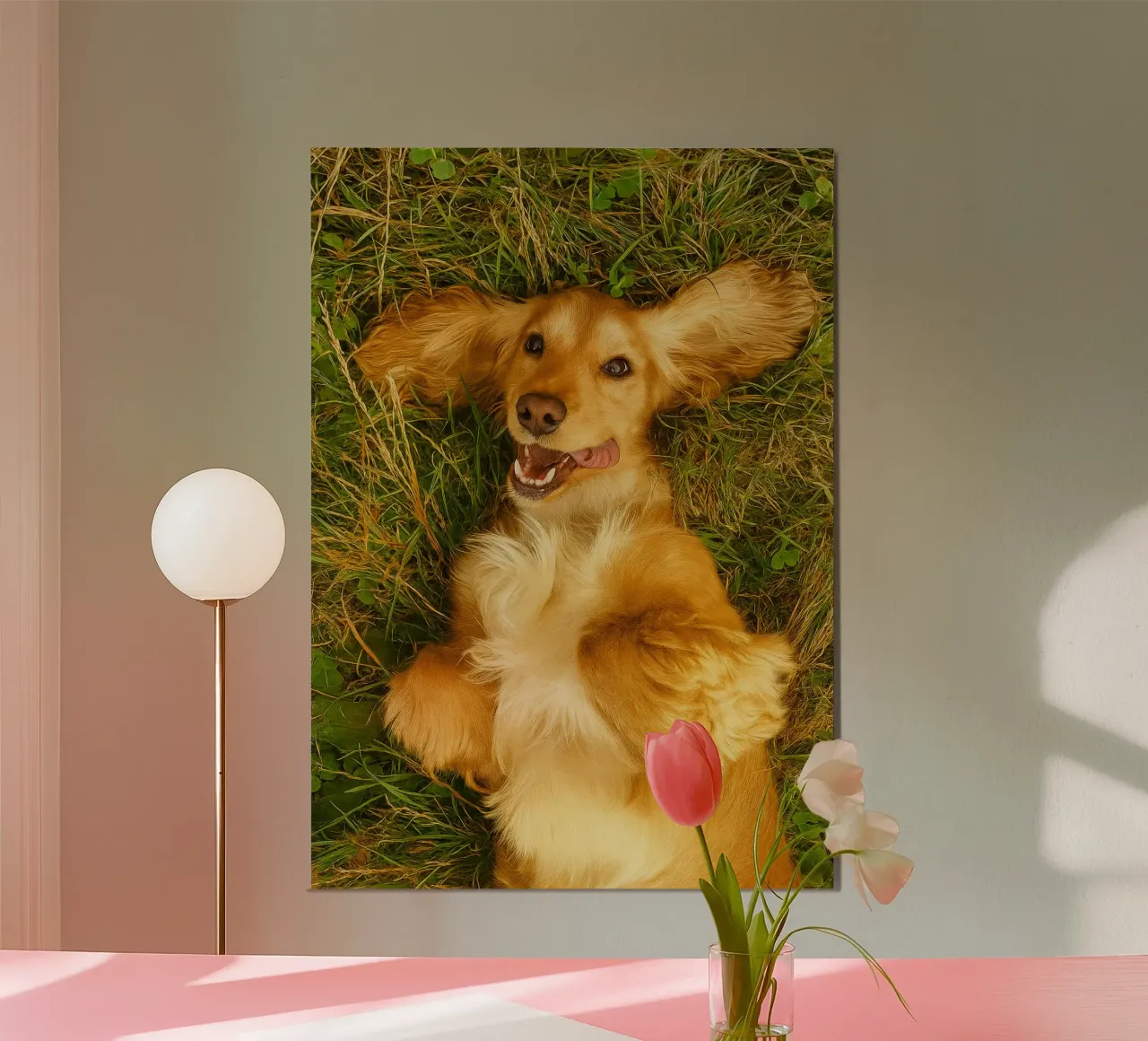 il cane si rotolò sull'erba secca poster con telaio in plastica da chinerei