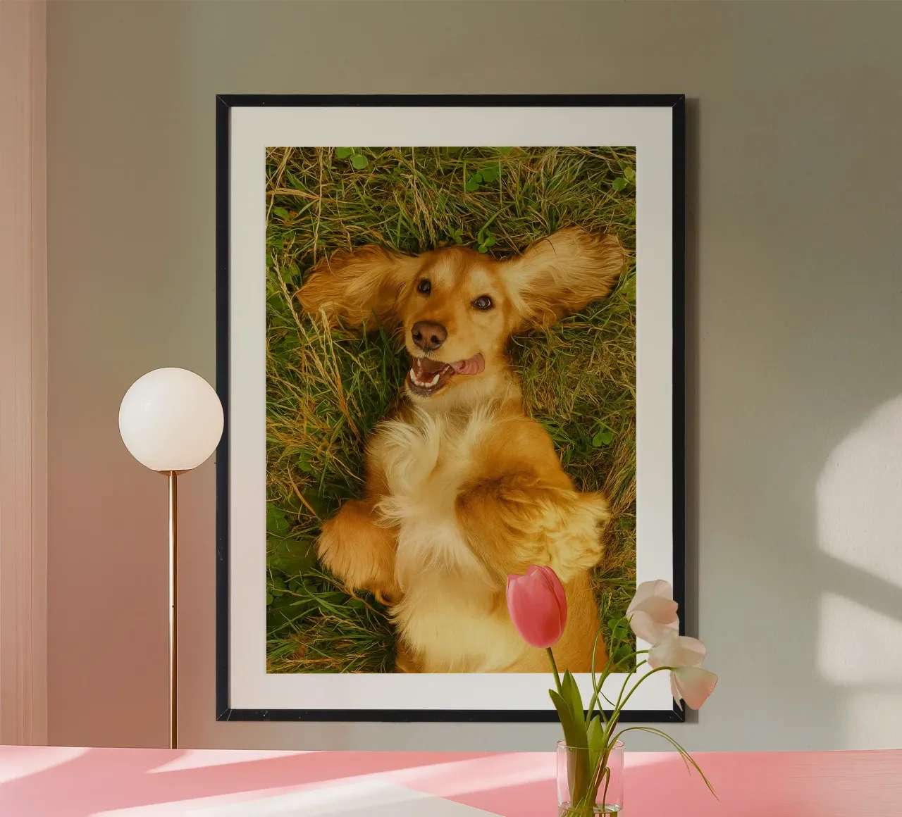 il cane si rotolò sull'erba secca poster con telaio in plastica da chinerei
