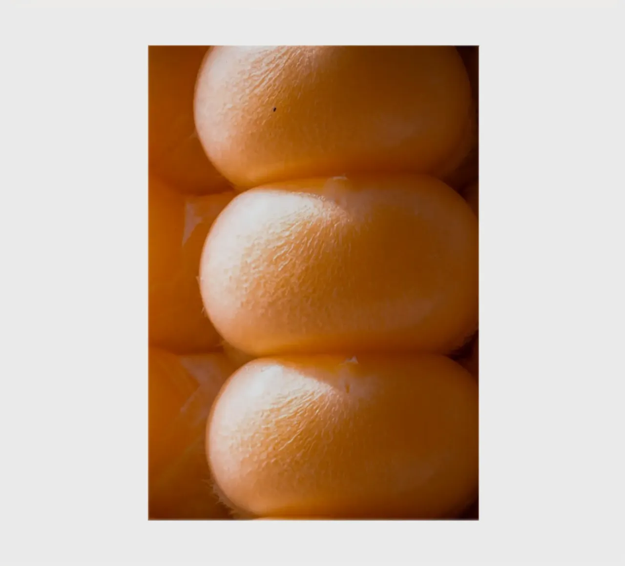 Corn on the cob as a macro photo notebook by Marcus Beckert | Fotografie