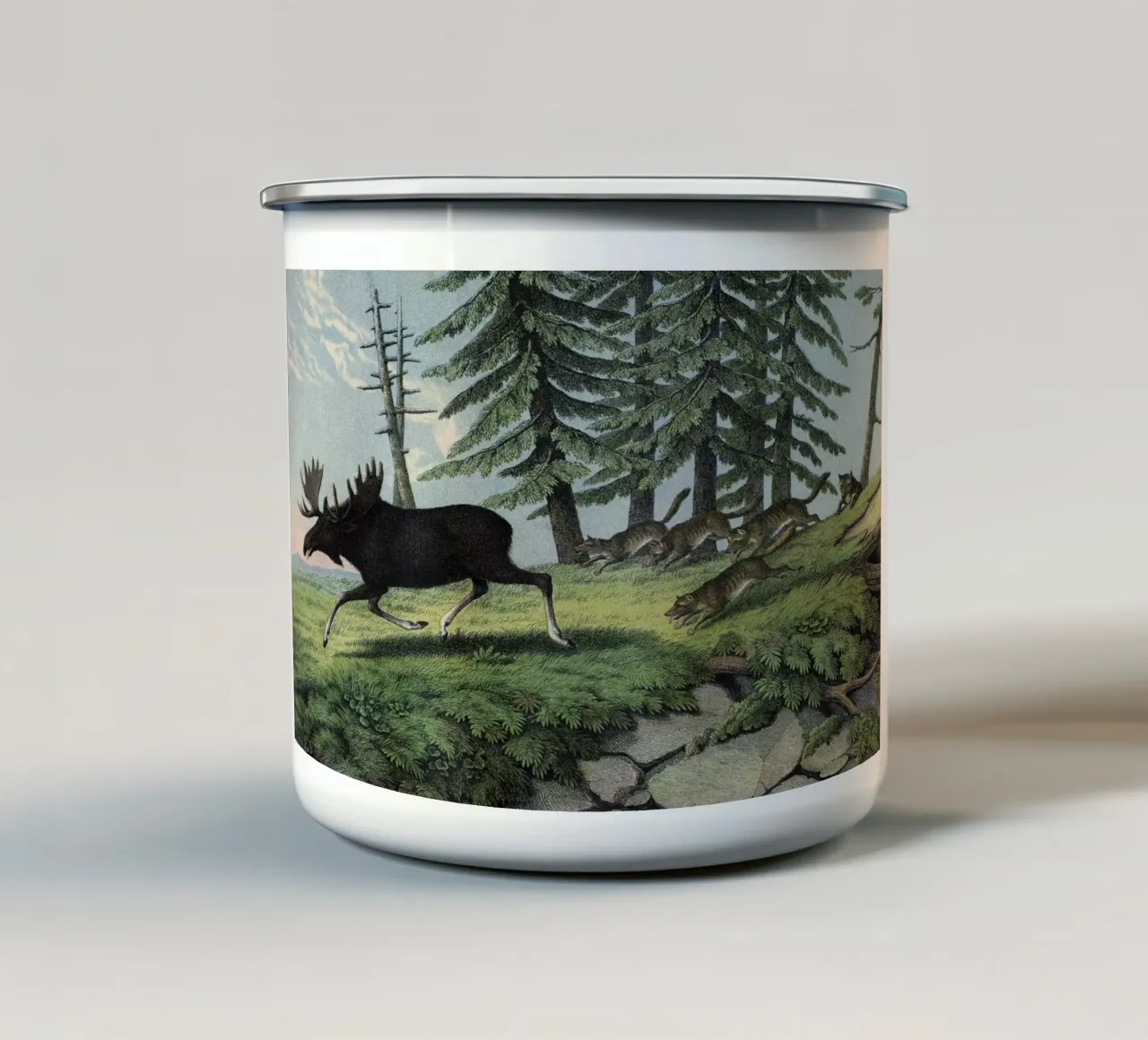 Vintage Kolb 11 Tafel 5 Elenn tazza in smalto da Vintage Print Collection