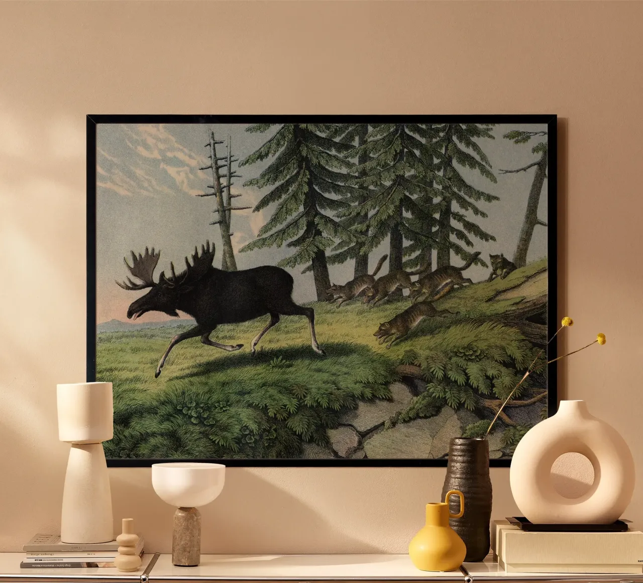 Vintage Kolb 11 Tafel 5 Elenn poster con telaio in legno da Vintage Print Collection