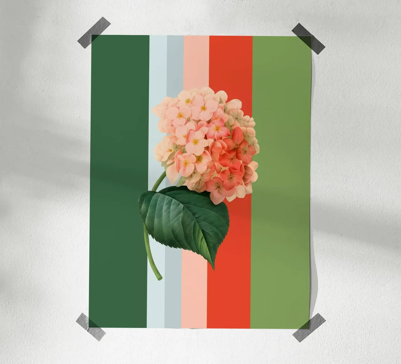 Belle Botanica 1 Hortensie poster con telaio in alluminio da superprint