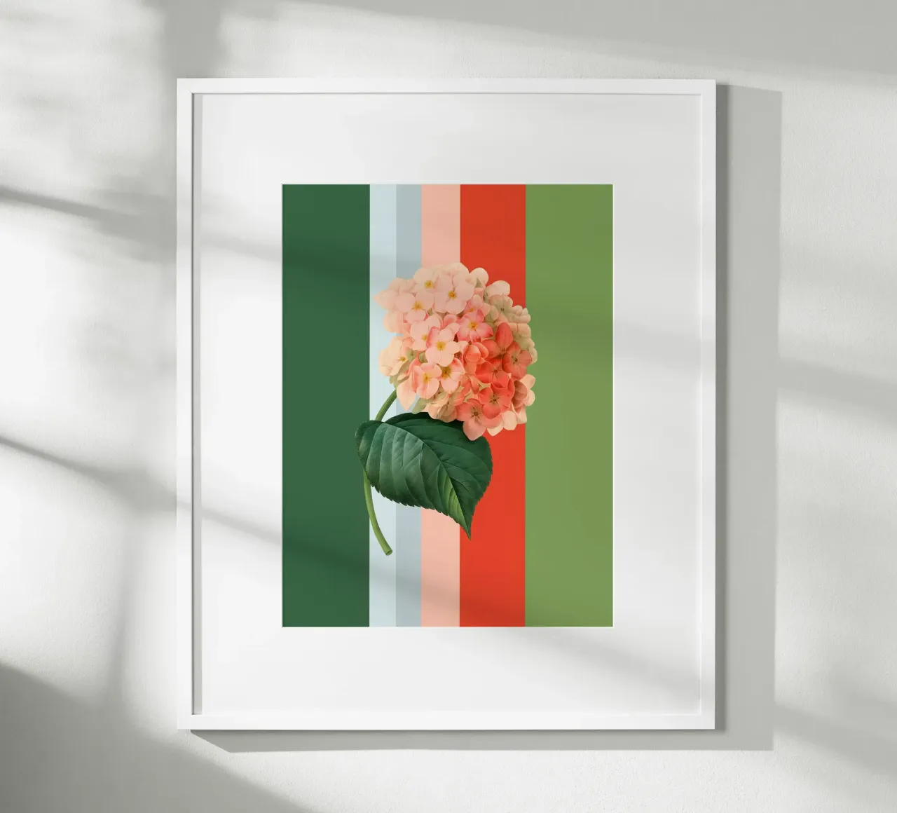 Belle Botanica 1 Hortensie poster con telaio in alluminio da superprint