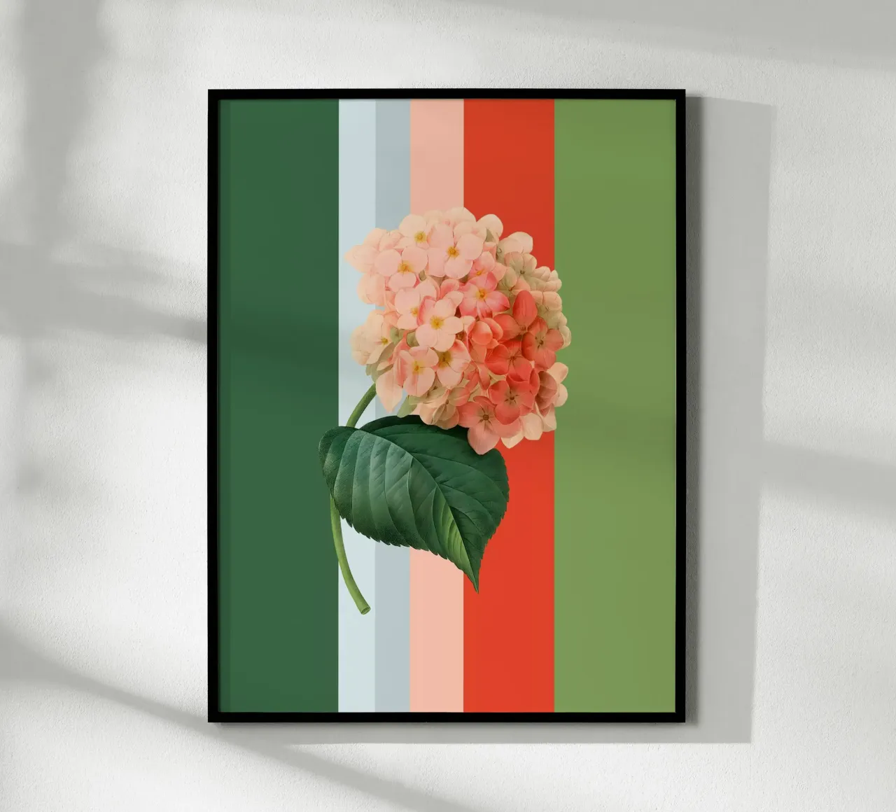 Belle Botanica 1 Hortensie poster con telaio in alluminio da superprint
