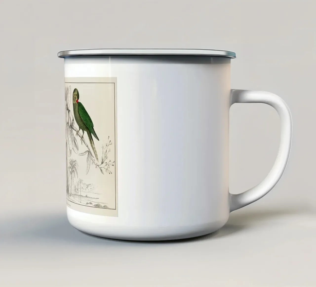 a rare antique hand colored tableau of two parakeets. tazza in smalto da vintageshop